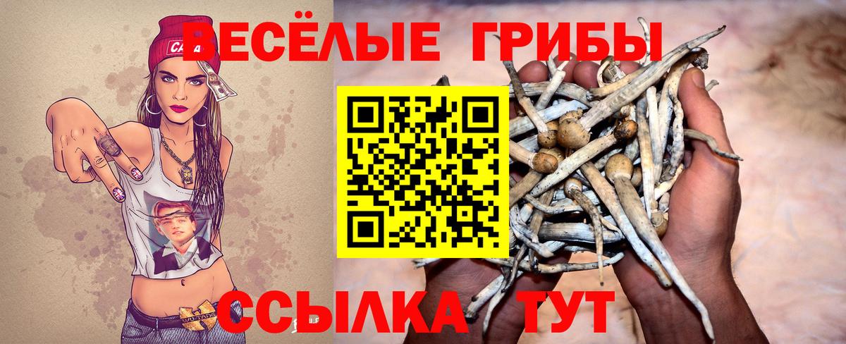 Галлюциногенные грибы MAGIC MUSHROOMS Канаш